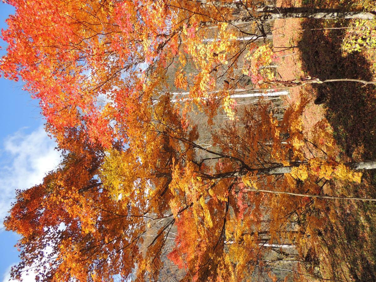Nakao Kogen Hotel Kazaguruma Takajama Exteriér fotografie