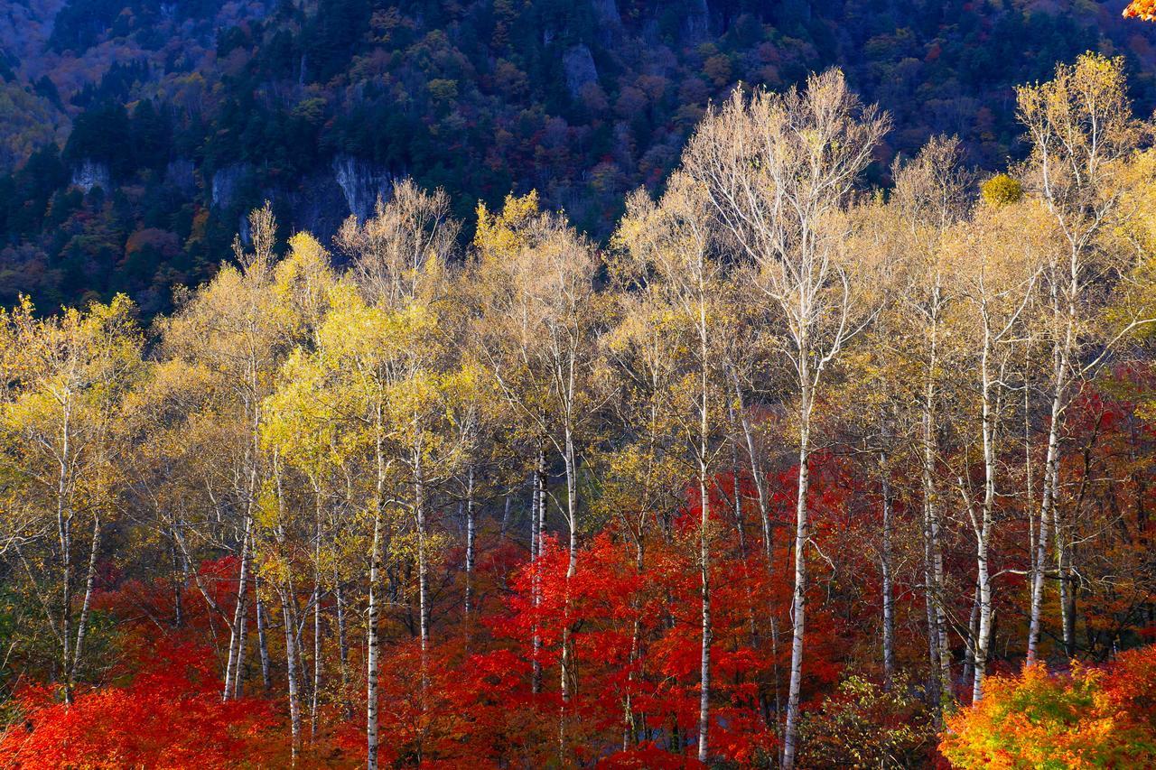 Nakao Kogen Hotel Kazaguruma Takajama Exteriér fotografie