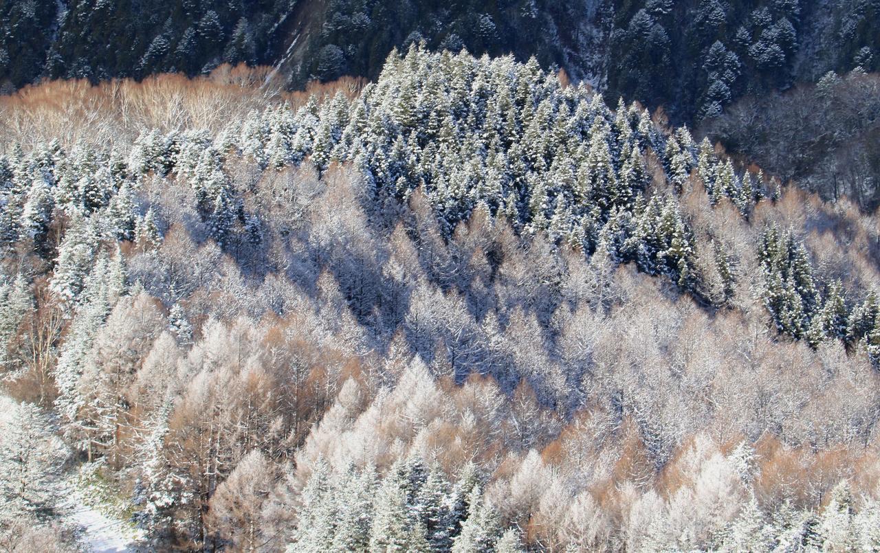 Nakao Kogen Hotel Kazaguruma Takajama Exteriér fotografie